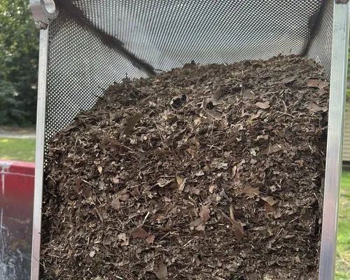 Trimming Richmond