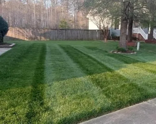 Fertilization Richmond