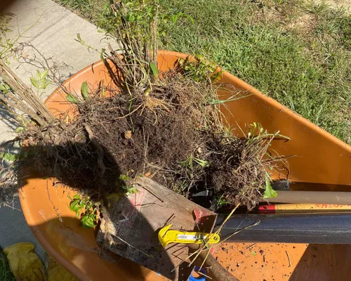 Mulching Richmond