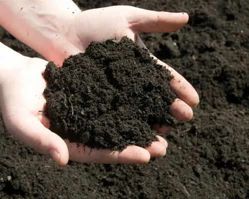 Topsoil