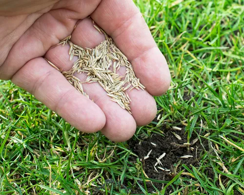  Topsoil