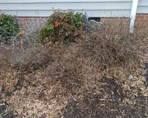 Topsoil