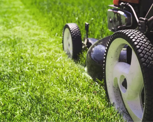 Glen Allen Lawn mowing