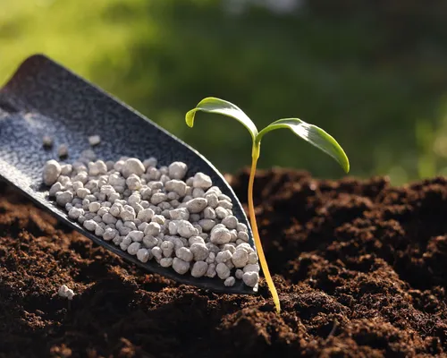 Topsoil