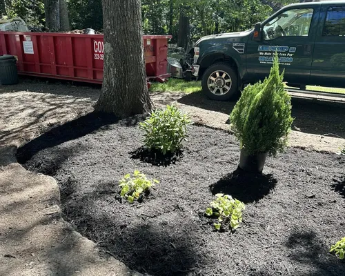 Glen Allen Mulching