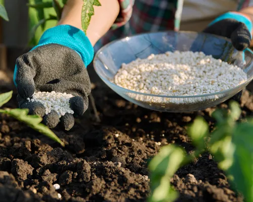 Topsoil