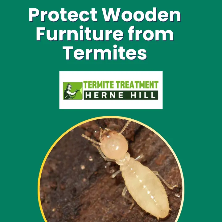 How Termites Affect Wooden Furniture and How to Protect It