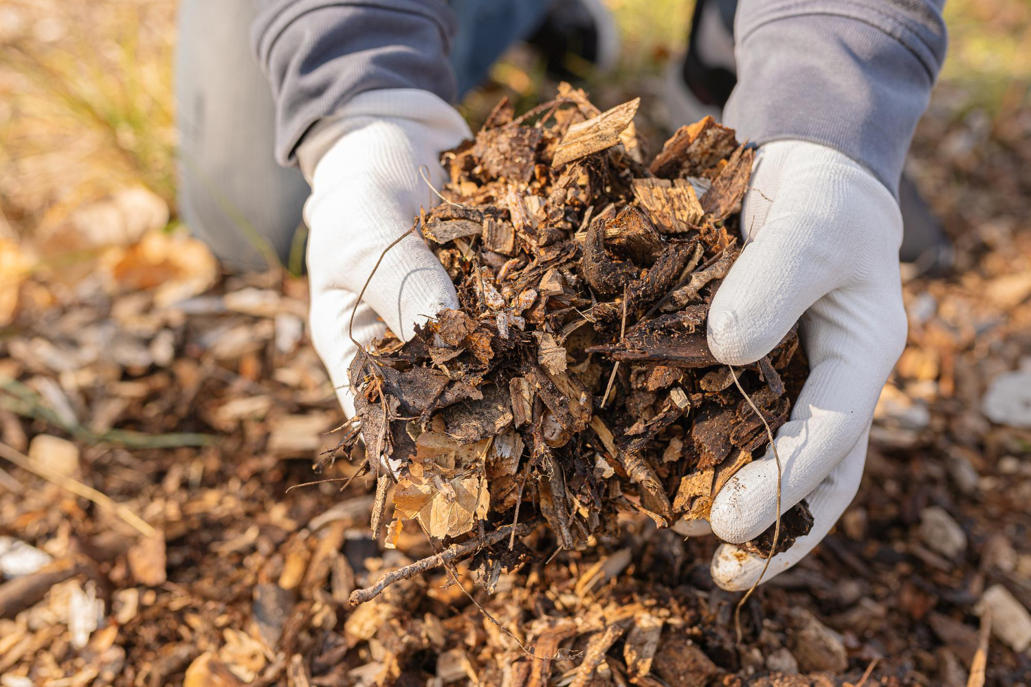 The Right Way to Mulch Trees in Omaha, NE