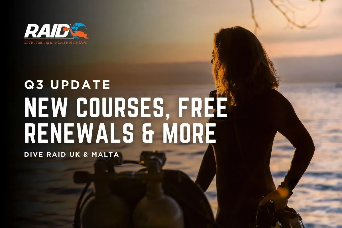 Dive Raid UK Update