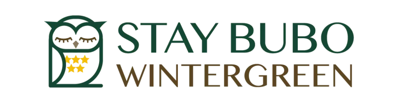 Stay Bubo Wintergreen logo