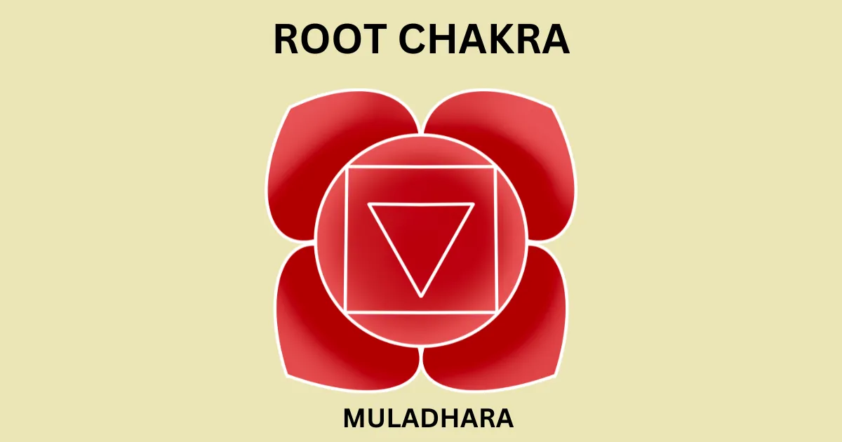 THE ROOT CHAKRA MULADHARA