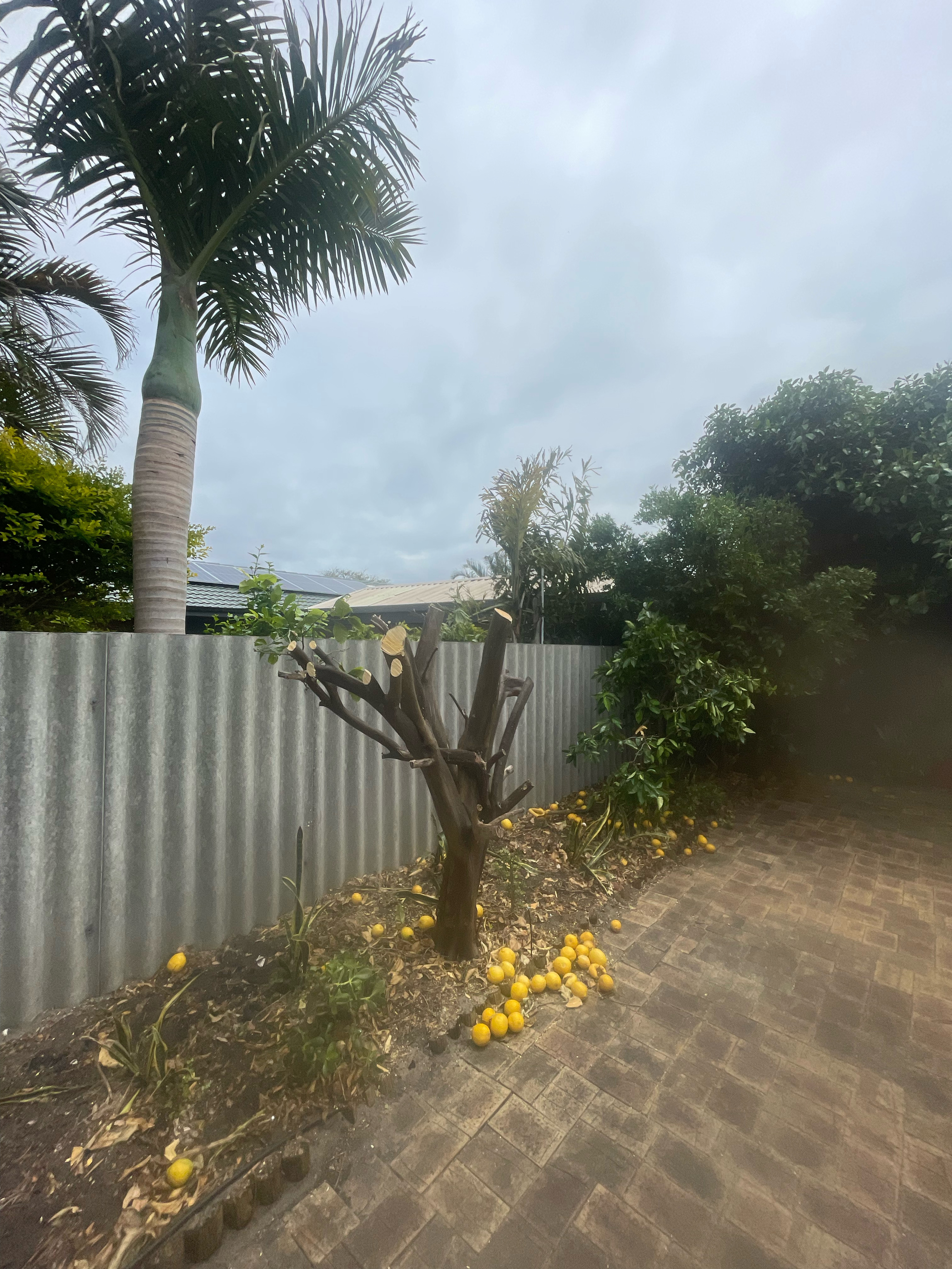 yard cleaning services ellenbrook