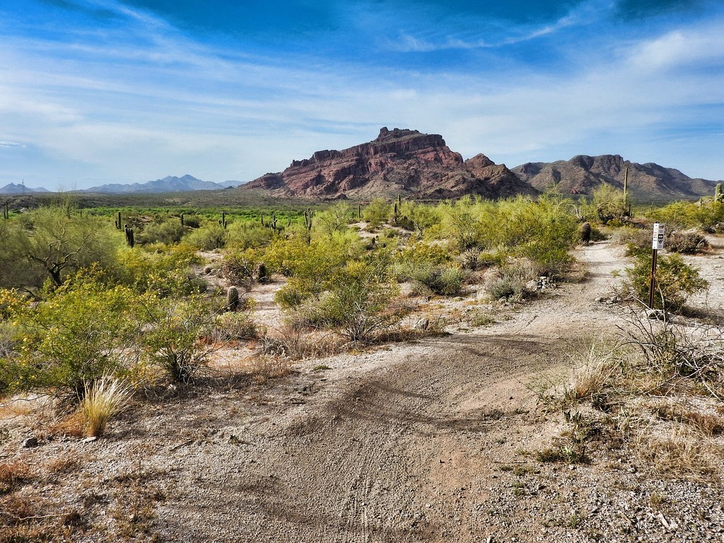 🌄 Red Mountain Trailhead Adventure Guide – Mesa, Arizona’s Hidden Hiking Gem!