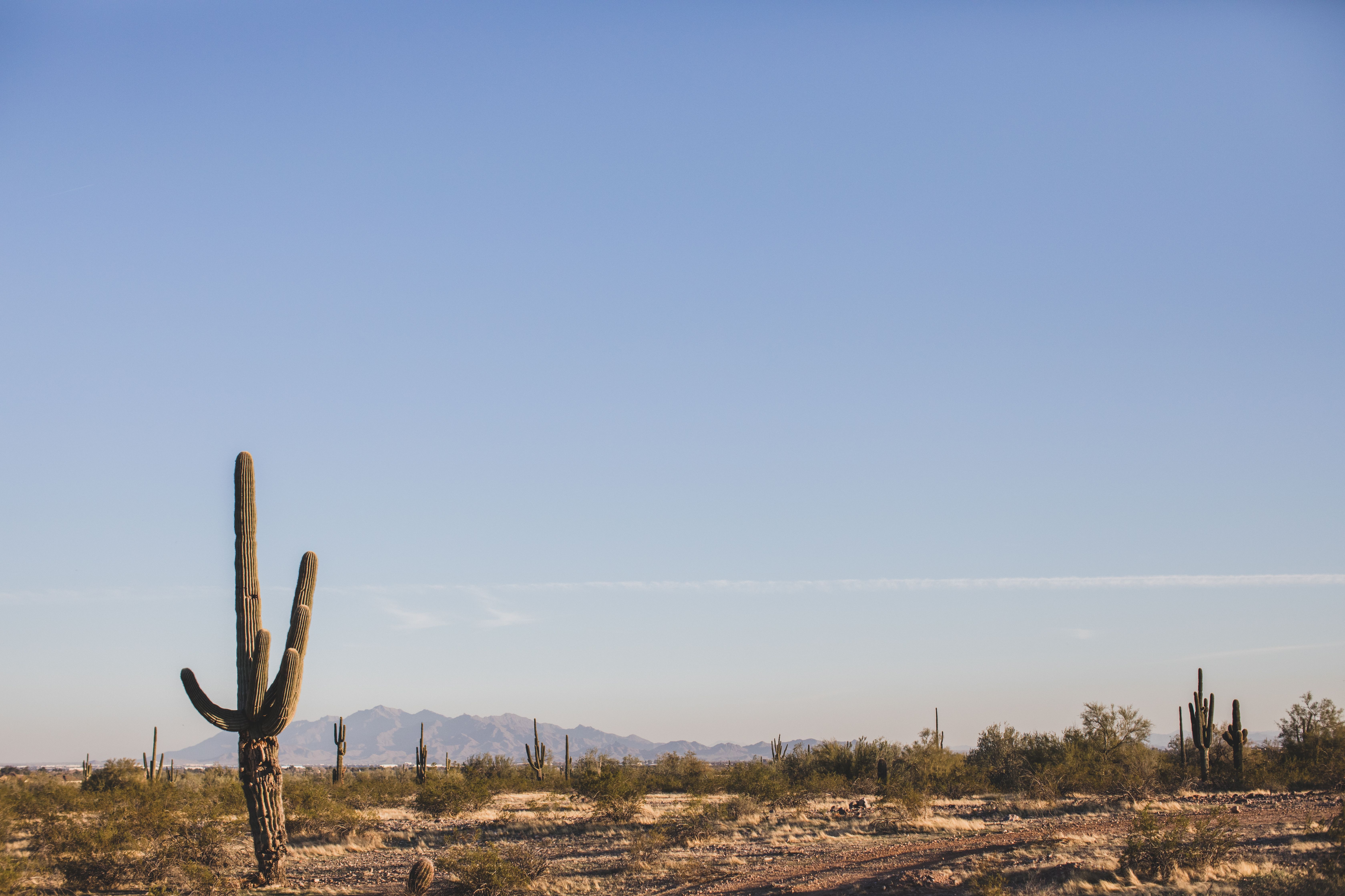 🏜️ Explore Grand Canyon National Park: Why a Rental Car Is the Best Way to Visit | Wheels on Demand – Phoenix, Arizona