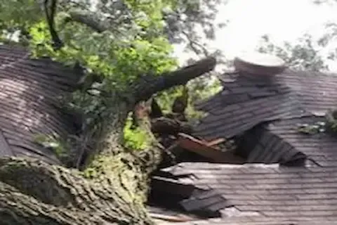 Storm-damaged roof with large fallen tree crushing shingles and decking in Woodbury