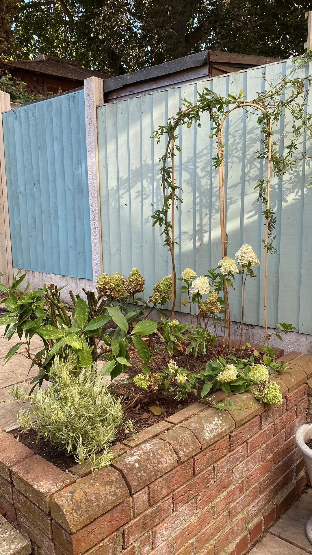 The courtyard garden after some simple planting