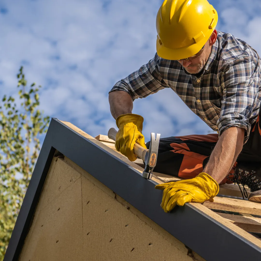 Wellington carpenter installing wooden frame