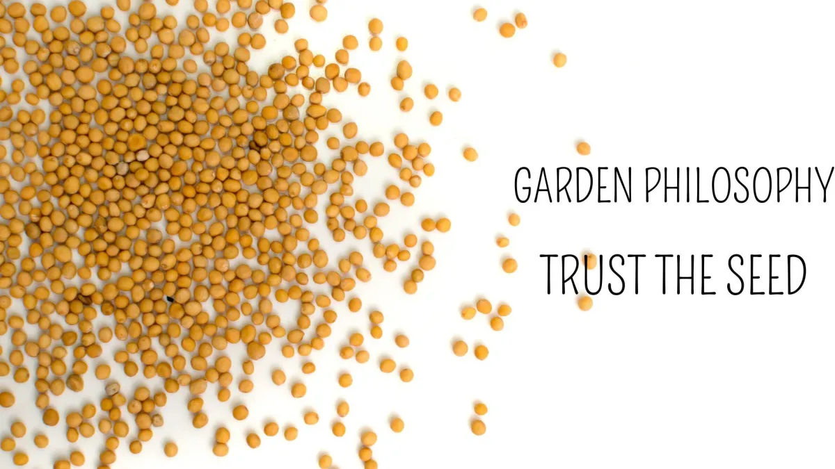 Scattered seeds with the text 'Garden Philosophy: Trust the Seed,' illustrating the natural gardening approach of trusting nature's processes.