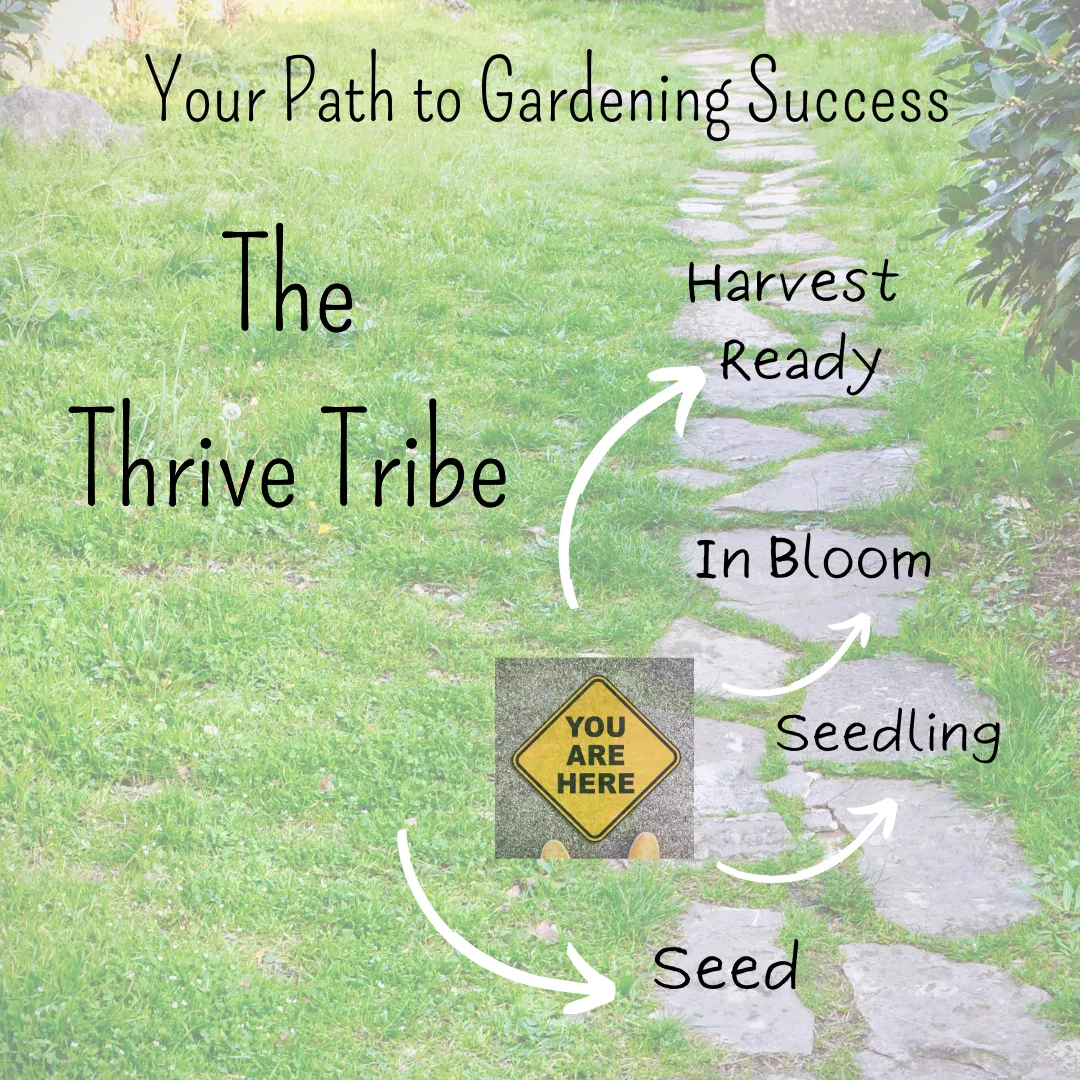 Graphic with the text "Your Path to Gardening Success - The Thrive Tribe" on a stone path with all stages of growth represented.