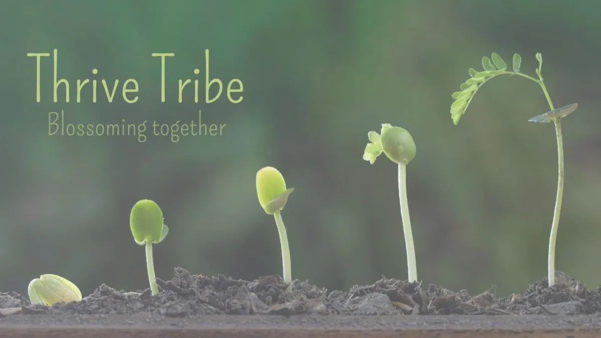 Graphic showing the stages of growth from seed to seedling with the text "Thrive Tribe - Blossoming Together.