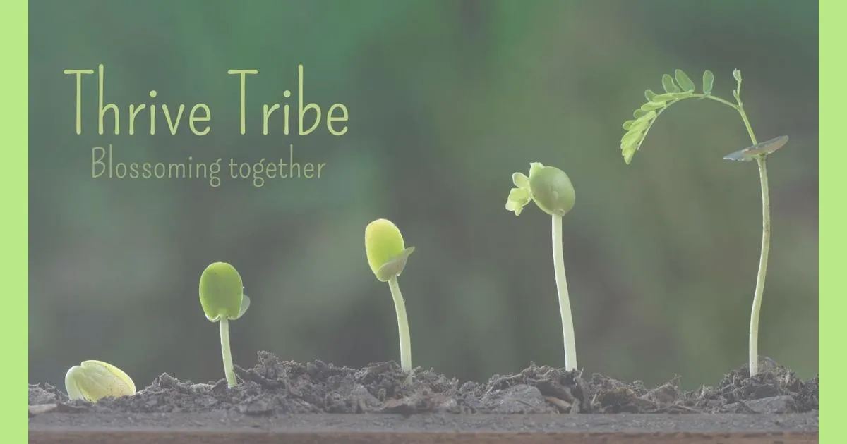 Thrive Tribe logo illustrating the gardening journey from seed to seedling, symbolizing growth, learning, and community support.
