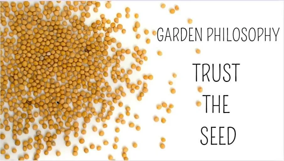 Scattered seeds with text “Garden Philosophy: Trust the Seed,” highlighting simple gardening with less fuss.
