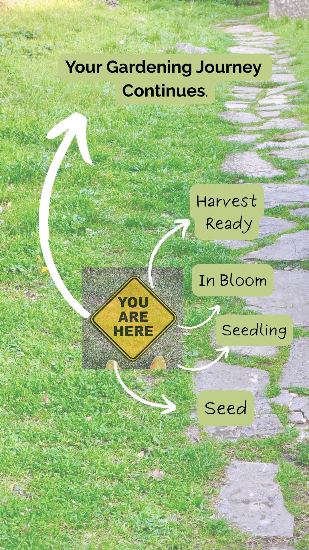 Stone path representing a gardening journey with stones labeled Seed, Seedling, In Bloom, and Harvest Ready; a ‘You are here’ marker highlights progress.