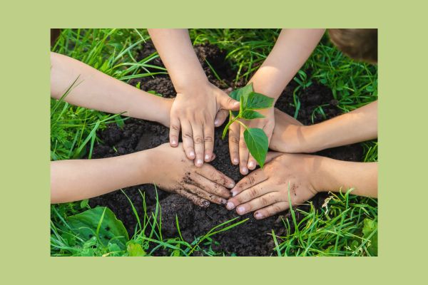 A circle of dirty hands surrounding a newly planted seedling, representing gardening community and collaboration.