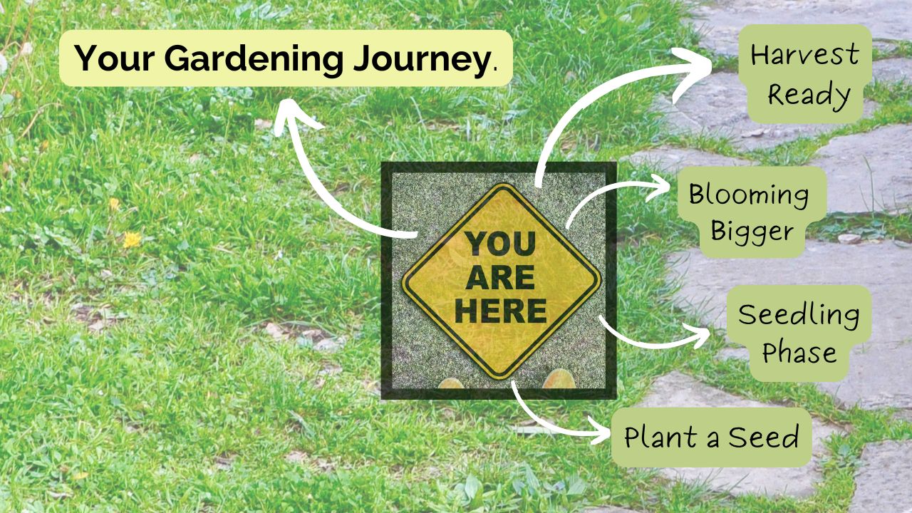 More Food Less Fuss personalized garden coaching logo featuring hands-on guidance, showing small business branding for beginner-friendly gardening support.