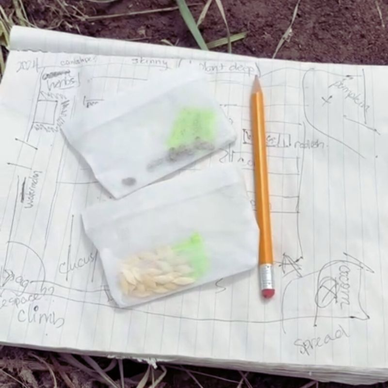 Close-up of a garden plan drawn on paper with a pencil and saved seeds, symbolizing personalized coaching and planning.