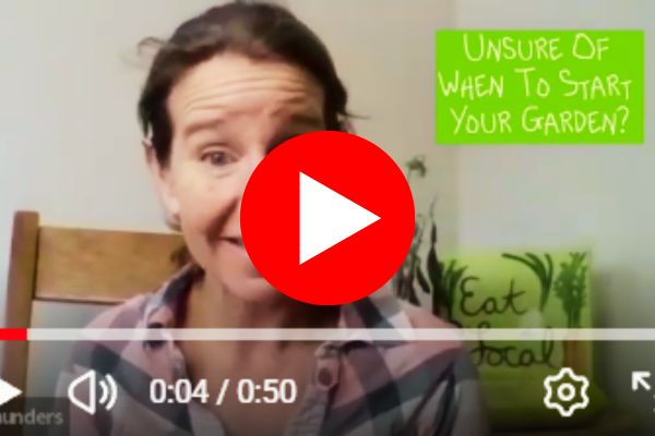 Teacher presenting simple gardening tips in a home garden — get to know your instructor and learn easy, practical methods to grow more food with less fuss.