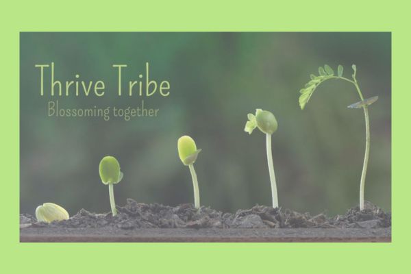 Thrive Tribe logo showing five seedlings from sprouting to true leaves, symbolizing growth, learning, and community support in a simple, nature-based gardening journey.