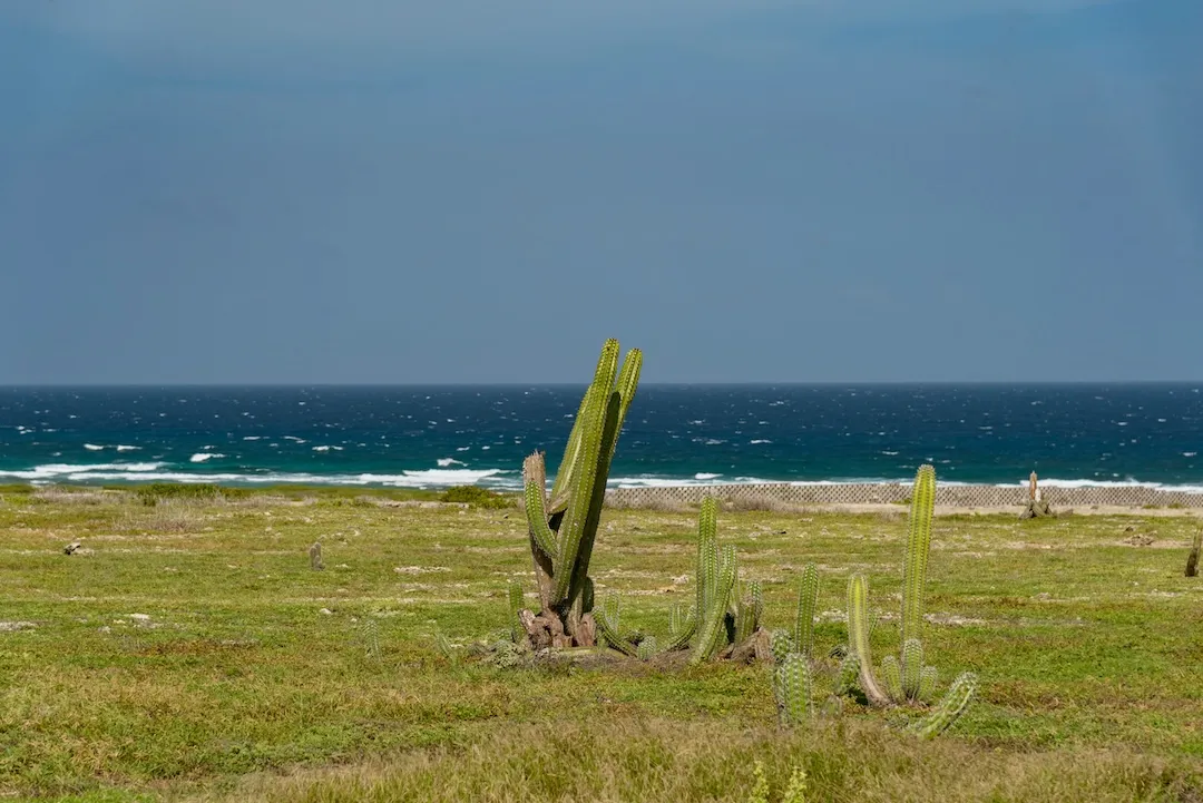 Mexican ejido land overlooking Pacific Ocean Dream Baja Realty