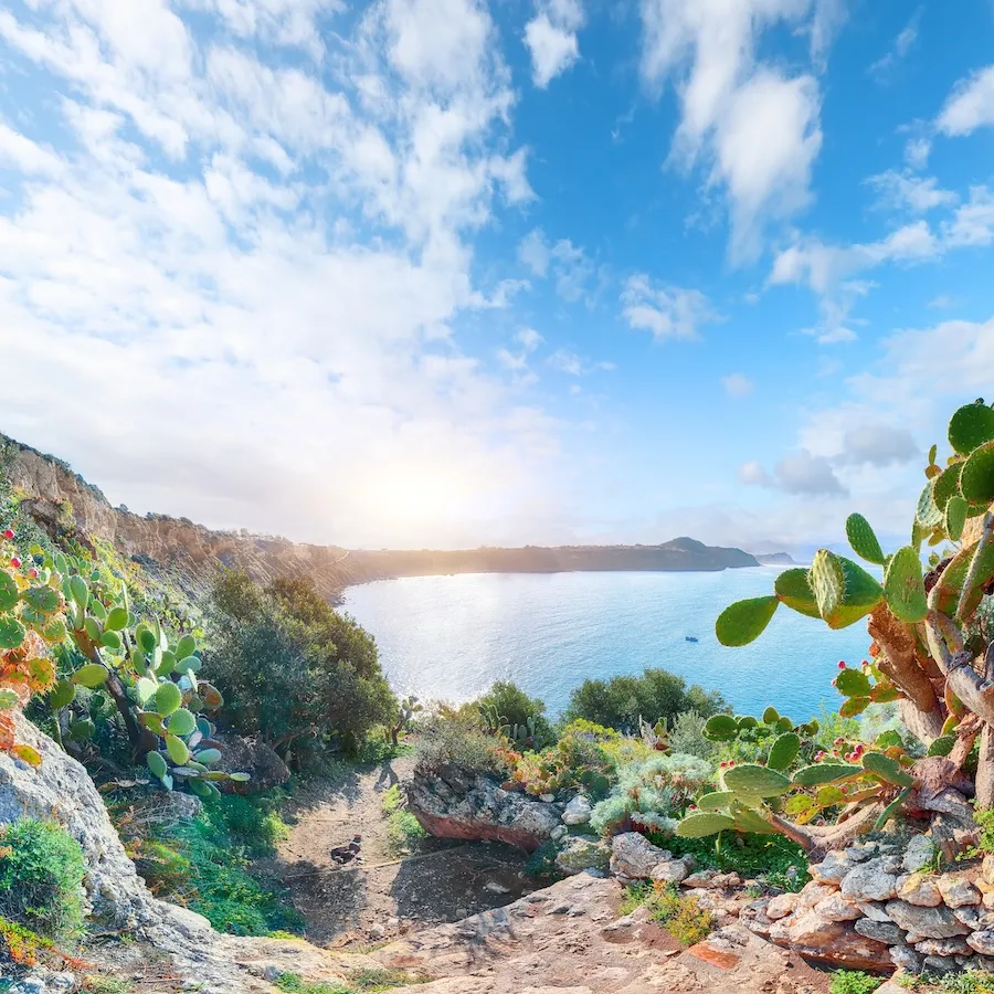 Mexican ejido land overlooking Pacific Ocean Dream Baja Realty