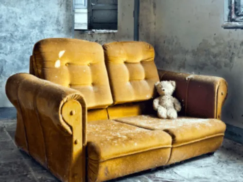 Futniture And Appliance Removal in St. Joseph