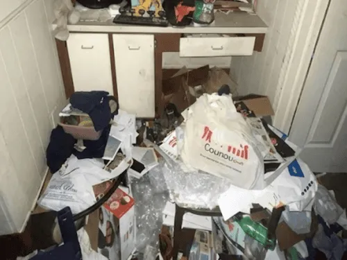 Benton Harbor Cleanouts