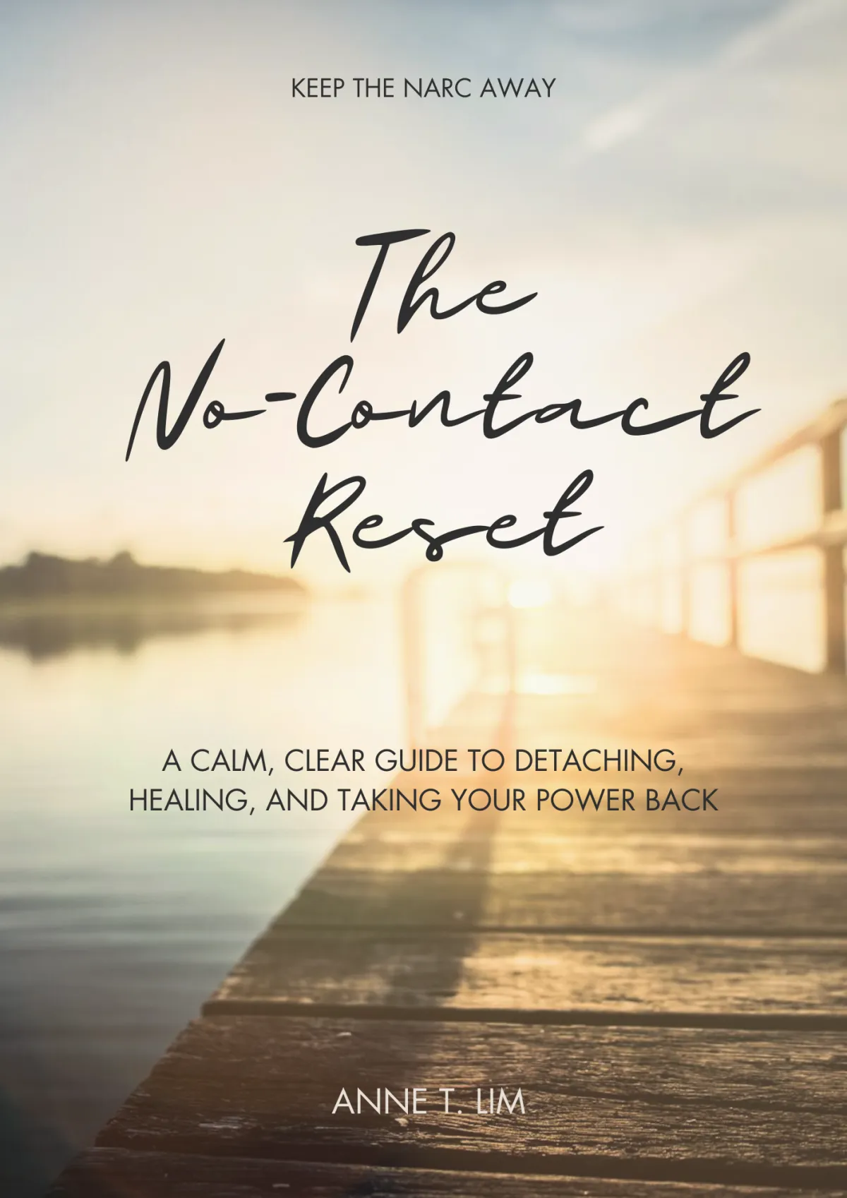 The No Contact Reset eBook cover mockup