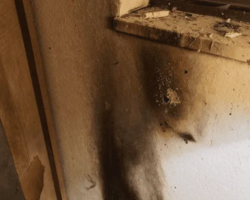 Fire Remediation in Grand Junction