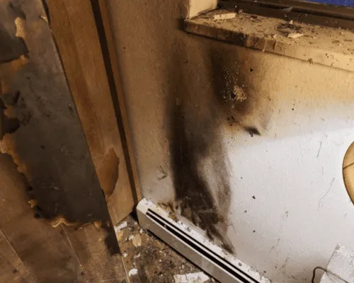 Mack Fire Remediation