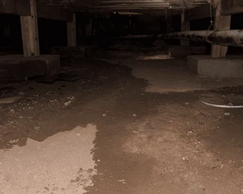 Property Restoration & Cleaning Services. Grand Junction