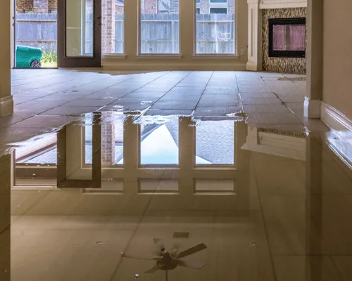 Fire Remediation Grand Junction