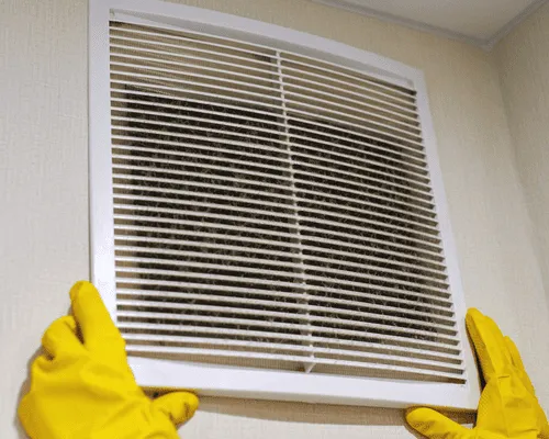 Carpet Cleaning Grand Junction