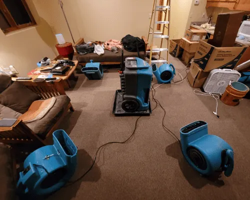 Carpet Cleaning Grand Junction