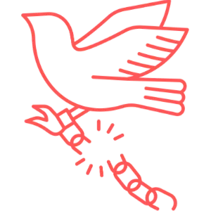 Portrait d'une femme calme, sourire doux, fond transparent, lumière chaleureuse, compassion et bienveillance.