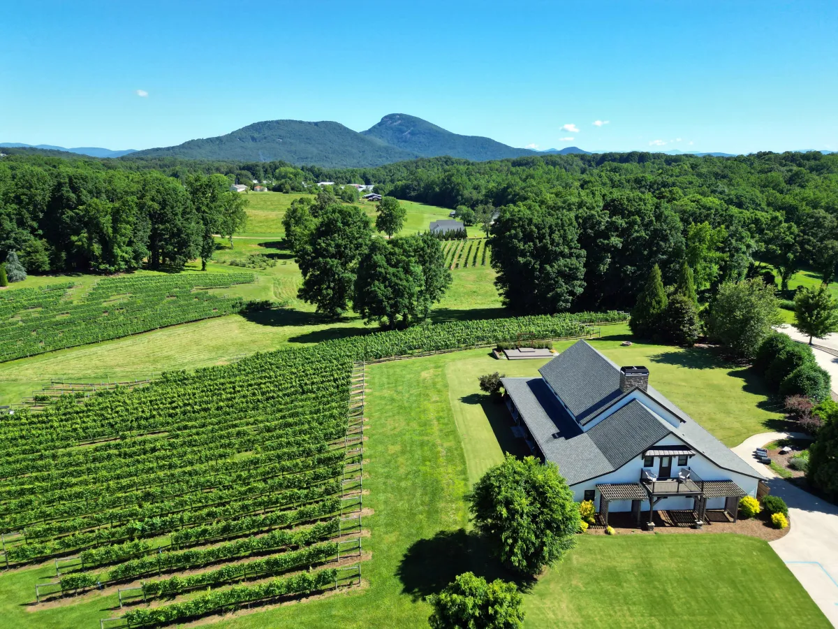 CeNita Vineyard with views of Yonah Mountain in Cleveland, GA
