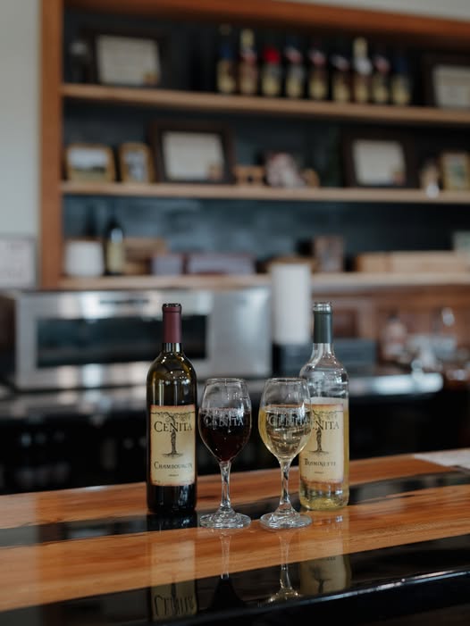 Red and white wines at CeNita Vineyards tasting bar in Cleveland Georgia
