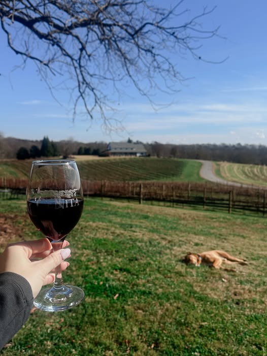 Wine glass overlooking vineyard at CeNita Vineyards in Cleveland GA