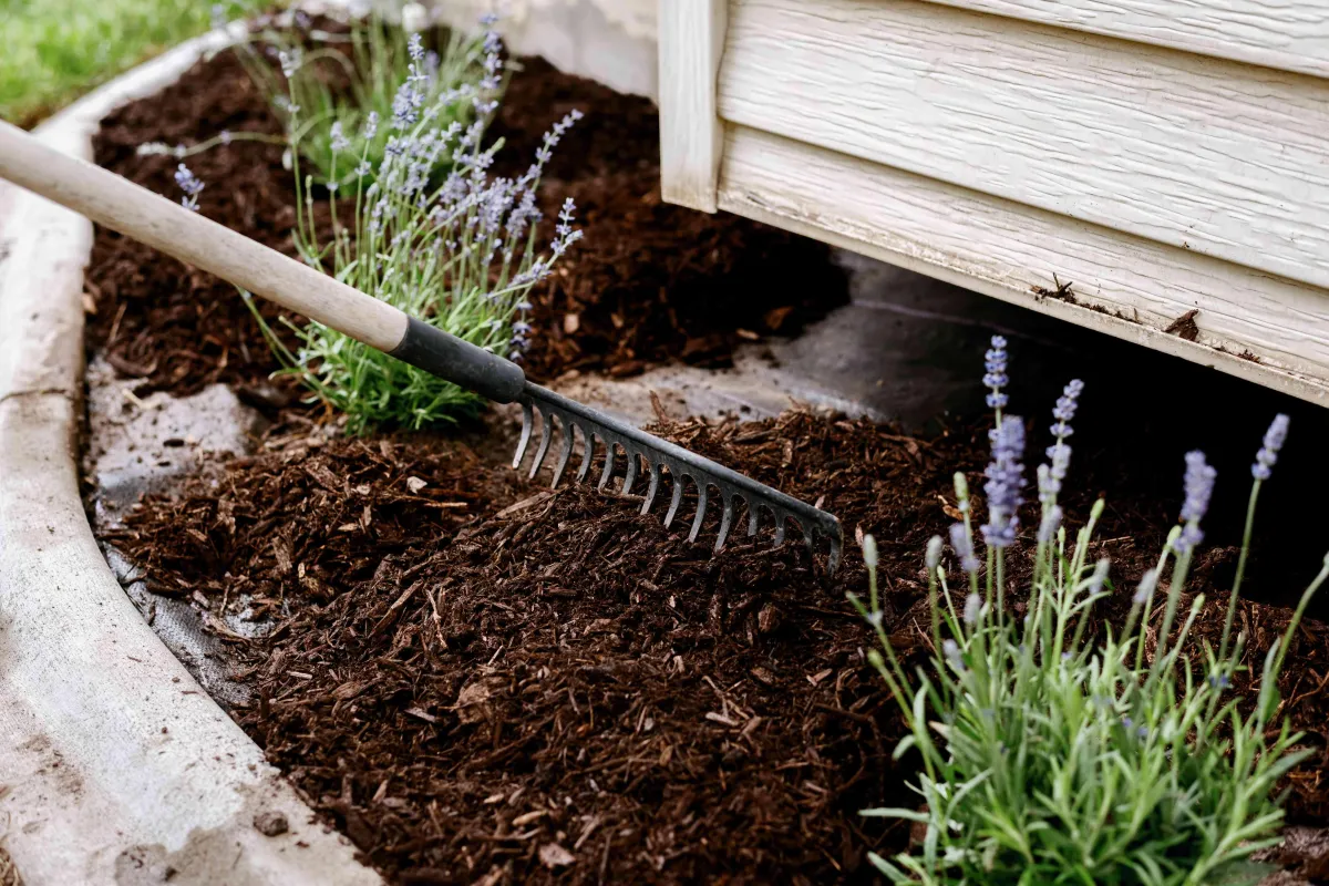 Premium Mulching Services: Enriching Soil and Elevating Garden Aesthetics