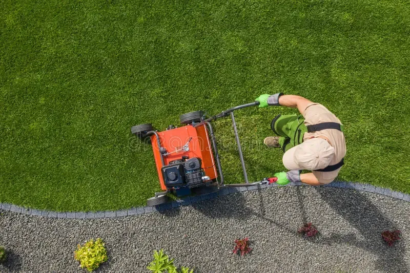 Expert Aeration Techniques: Breathing New Life into Your Lawn for Vibrant Growth