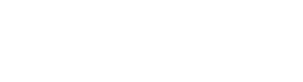 33Dolphins Growth Strategy
